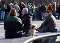WashingtonSq_028_20130120