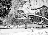 BBG-ProspectPk_047_20130209