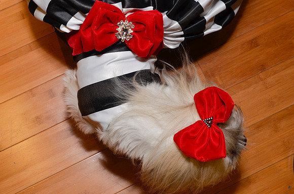 Hamlet-Kolo-Wedding_355_20141003