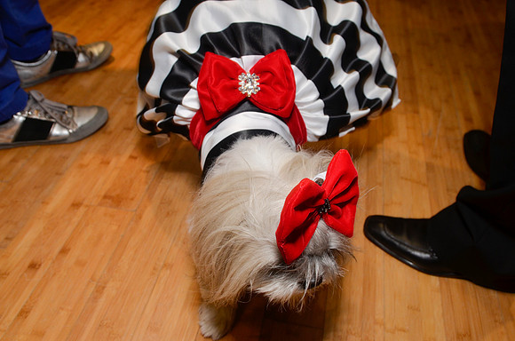 Hamlet-Kolo-Wedding_314_20141003