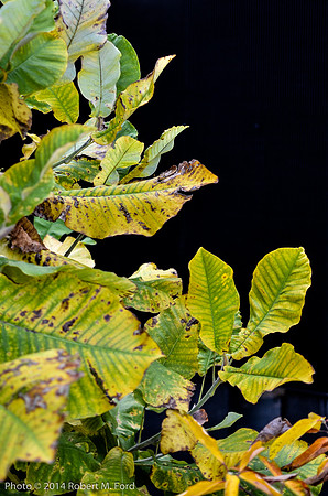 Highline_042_20141030