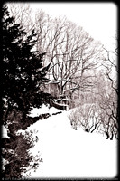 Winter 2011