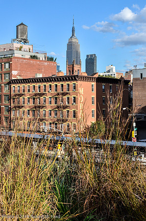 Highline_066_20141030
