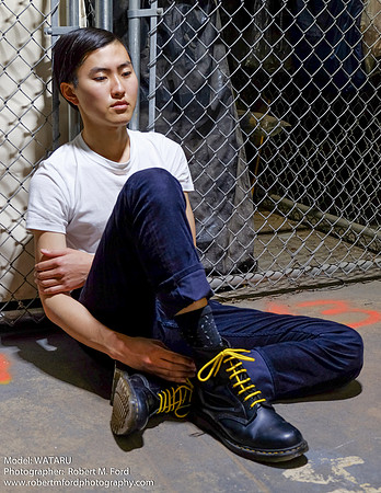 Wataru_532_20150204